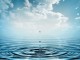 water drop (18)
