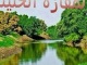 mafaza