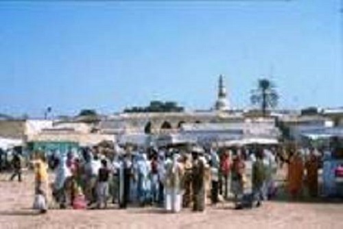 barentu