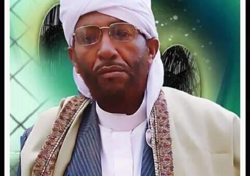 mohamed saleh abdallah