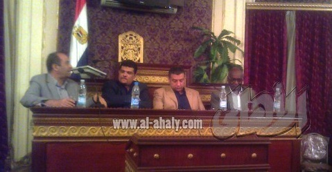 وفد المجلس الوطنى فى مصر     (المصدر : جريدة الاهالى المصرية )