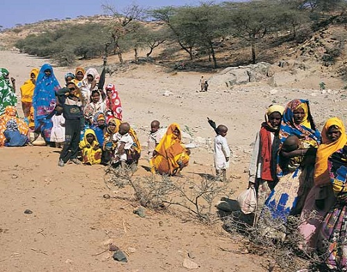 اسر ارتريا تنتظر المساعدات تحت حرارة الشمس الحارقة ( www.cnewa.org )