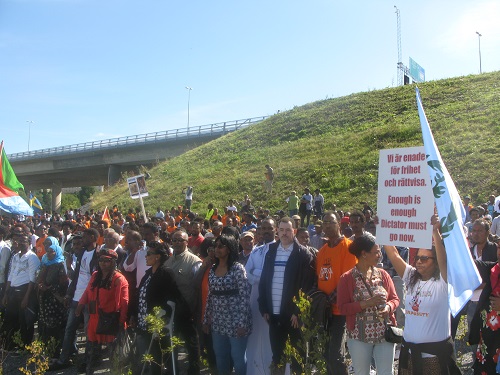 Stockholm Rally Against the PFDJ Festival 2015 (3)