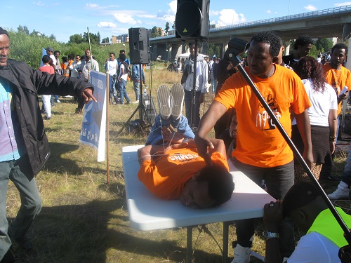 Stockholm Rally Against the PFDJ Festival 2015 (4)