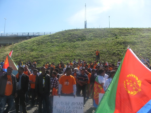Stockholm Rally Against the PFDJ Festival 2015 (5)