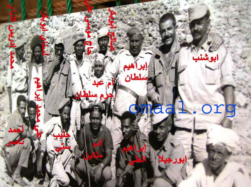 mohammed hesas
